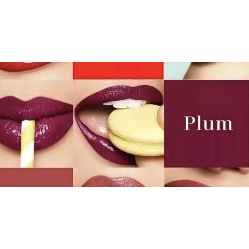 Mary Kay ULTRA STAY Lip lacquer Kit PLUM